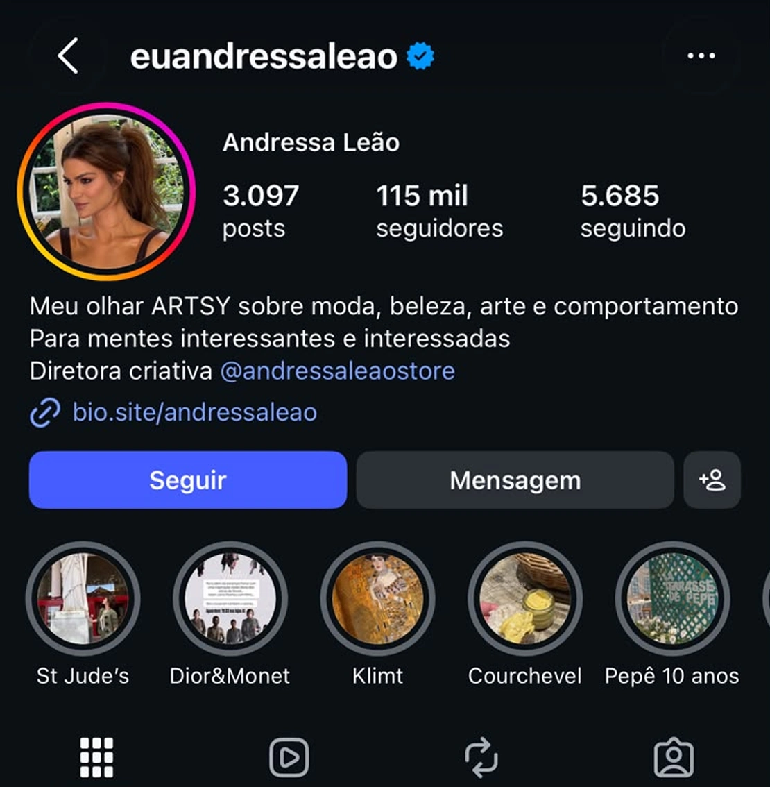 Perfil IG 08